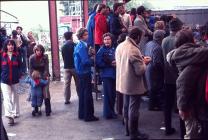 Diwrnod Mart, Evans Bros, Llanybydder 1977