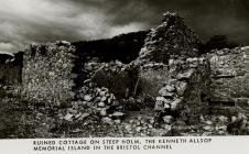 Ruined Cottage on Steep Holm