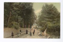 Postcard image of Carmarthen Road, Llandeilo, c...