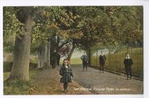 Postcard image of the Avenue, Penlan Park,...