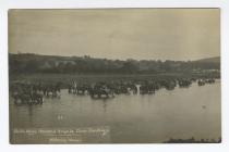 Postcard image of Yeomanry Camp, Llandilo /...