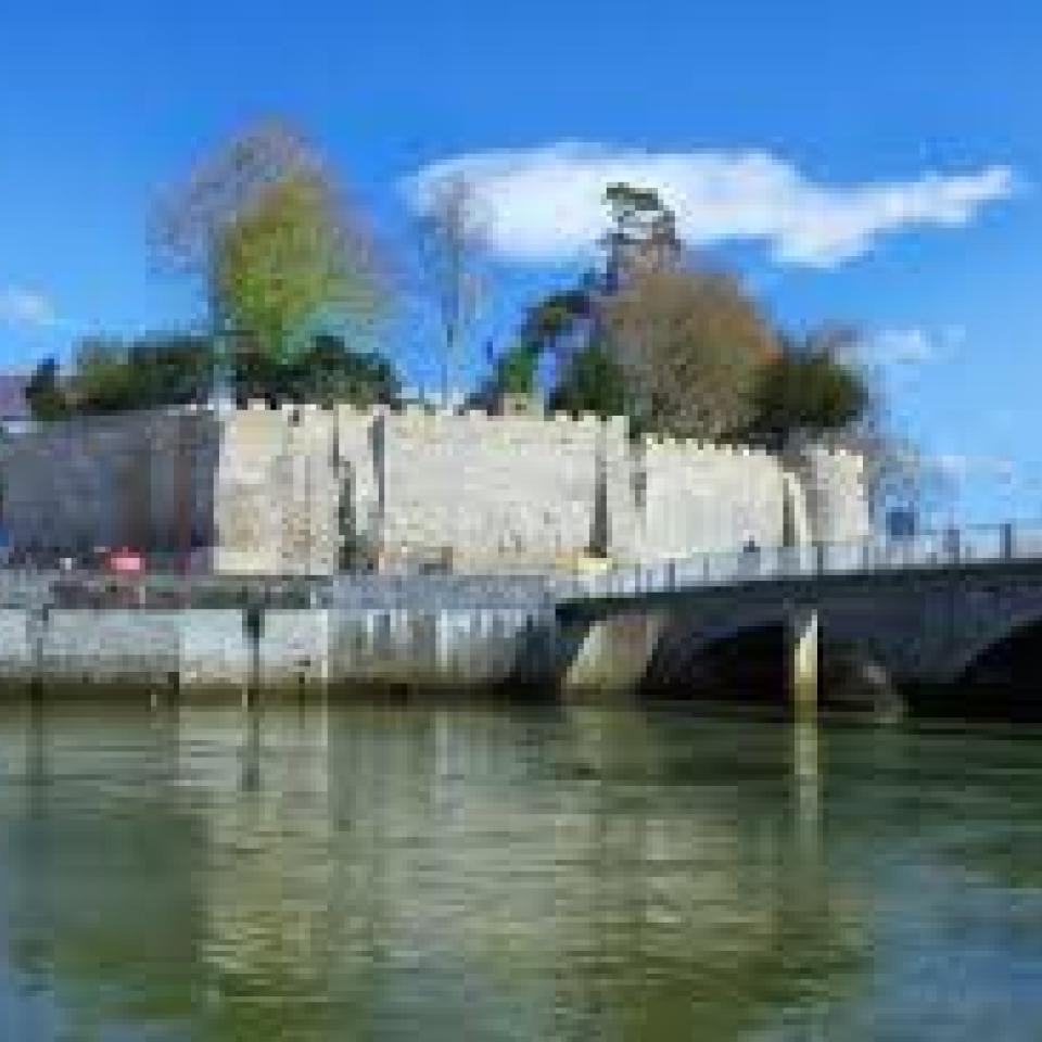 Profile picture for user sue_lewis_10606
