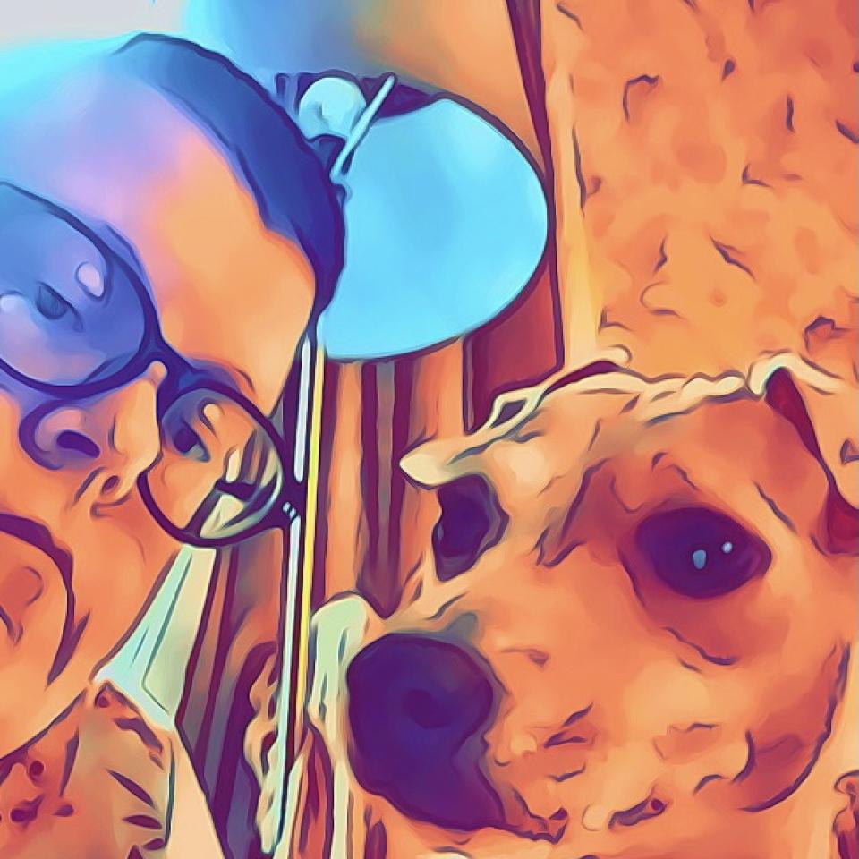 Profile picture for user suzcrook_68491