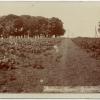 chs09501 Stalling Down early 1900s.jpg