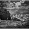 BG__000314.jpg