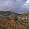 BG__000320.jpg