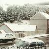 BG__000450.jpg