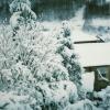 BG__000451.jpg