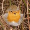 Profile picture for user evergreen29_108206