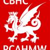 Profile picture for user helen.rowe@cbhc.gov.uk