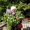 Profile picture for user shn1_ix_netcom_com