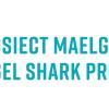 Profile picture for user angelsharks_30246