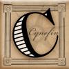 Profile picture for user cynefin