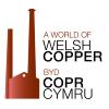 Profile picture for user t_goskar_swansea_ac_uk