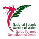 Gardd Fotaneg Genedlaethol Cymru's profile picture